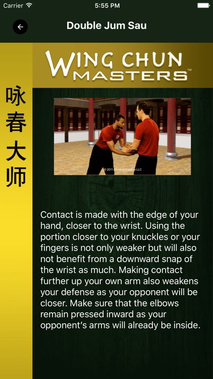 Wing Chun Masters 2 - HD
