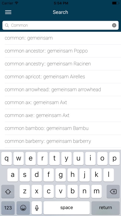 English : Basque Dictionary screenshot-4