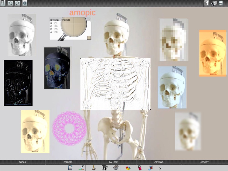 Amopic for iPad