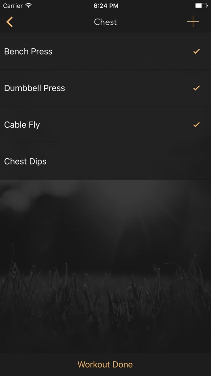 Gym Planner - Create and track your workouts