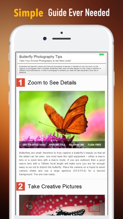 Close-Up Photography 101-Creative Guide and Tips