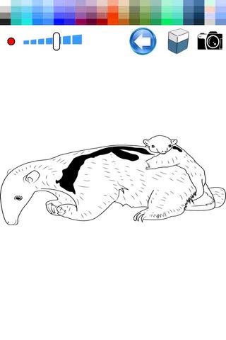 Coloring Book Anteater - Paint For Kids Preschool screenshot 2