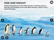 knowee : penguins айпад изображения 1