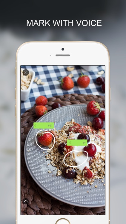 BugShot - Mark photos with TEXT, SHAPE and VOICE