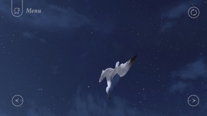 Jonathan Livingston Seagull 1 screenshot 2