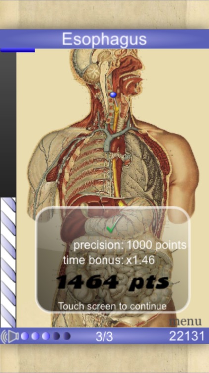 Speed Anatomy Lite (Quiz)