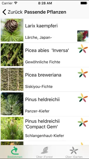 Screenshot von IPflanzen auf dem iPhone 3