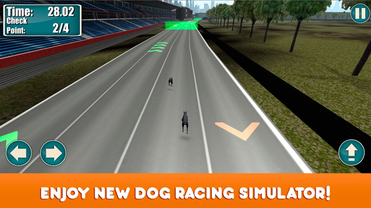 Dog Racing Tournament 2