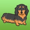 Long Haired Dachshund Dog Stickers Pack