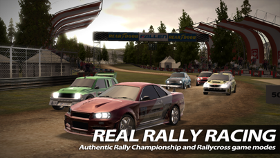 Rush Rally 2 screenshot 3