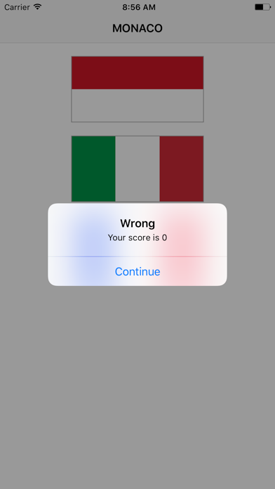 Guess The Flag - Fun Flag Guessing Game screenshot