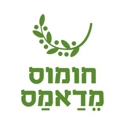 חומוס מדאמס
