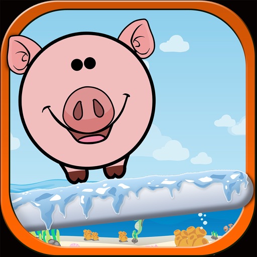 Pig Rush Saga Icon