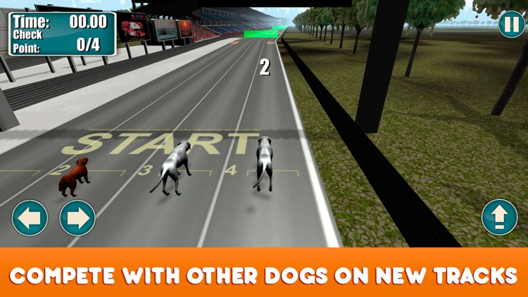 Dog Racing Tournament 2