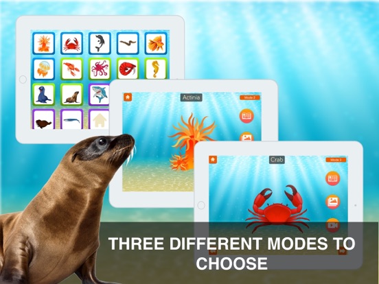 Screenshot #6 pour Animaux Marins Cartes Flash