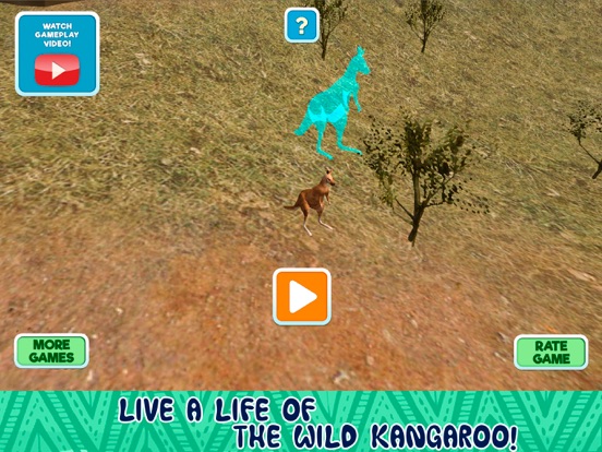 Kangaroo Australian Wild Life Simulator 3D