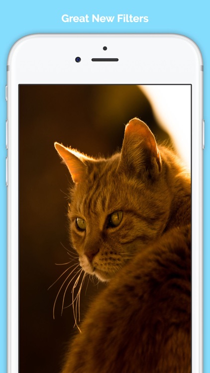 Filters for Everfilter - EverArt Camera screenshot-4