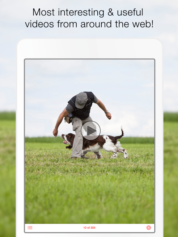 Screenshot #2 for Dog Training School -  Learn How to Train Puppies