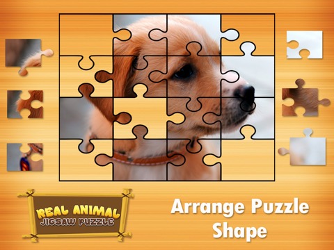 Animal Jigsaw Puzzles : puppy & cat puzzlesのおすすめ画像1