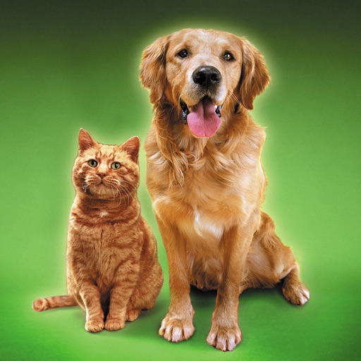 Cat Sounds & Dog Sounds