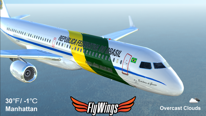 Screenshot #1 pour Weather Flight Simulator Viewer