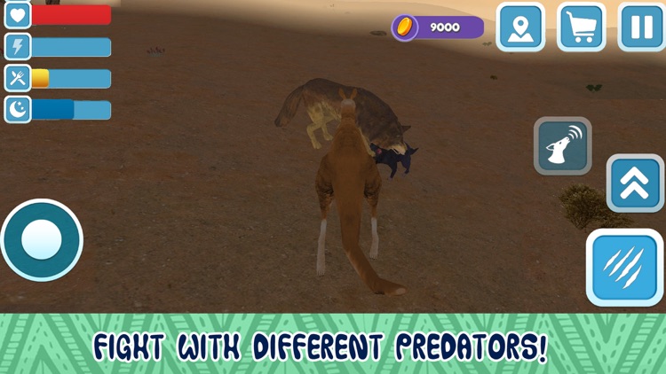 Kangaroo Australian Wild Life Simulator 3D