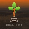 Brunello