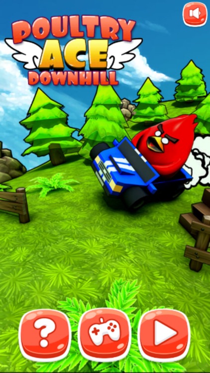 Bird Kart Racing