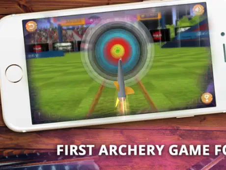 Archery Master 3D Cup