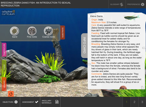 Breeding Zebra Danio Fish screenshot 2