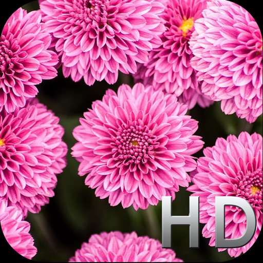 Pink Flowers HD WallPapers & Background Free icon