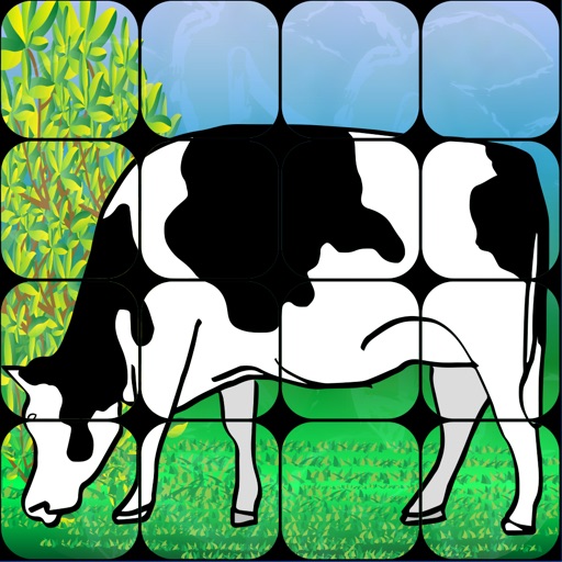 in Order - Jigsaw Puzzle Icon