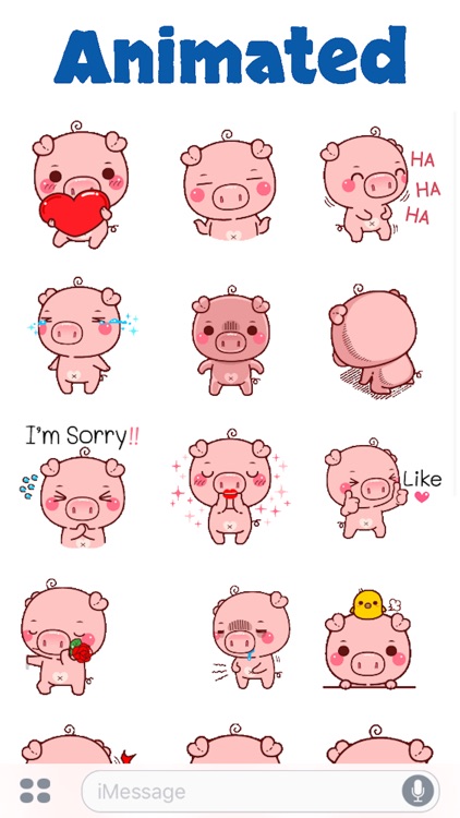 Pig Baby Aniamted