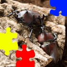 Rhinoceros Beetle Jigsaw Puzzle