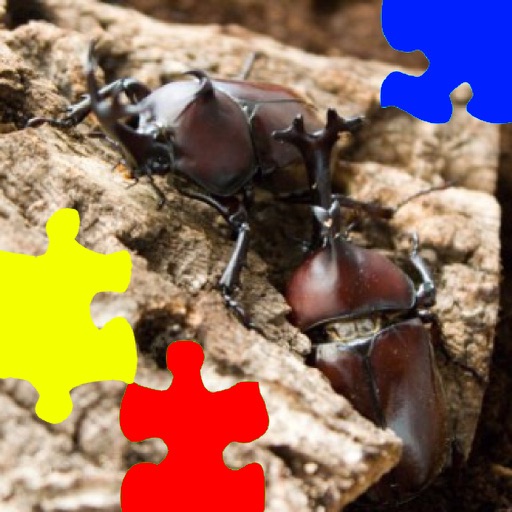 Rhinoceros Beetle Jigsaw Puzzle iOS App