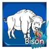 Happy Bison Paint Book For Toddle