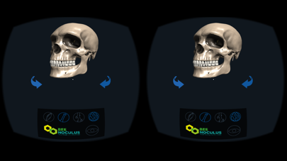Head Anatomy - Virtual Reality Medicineのおすすめ画像2