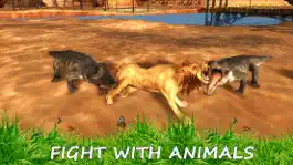 Game screenshot Wild Lion Simulator - Jungle Animal Hunter apk