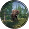 Wild Animal Hunting Pro: Hunter in African Forest