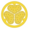 Budo Martial Arts Studio Budo Martial Arts Studio