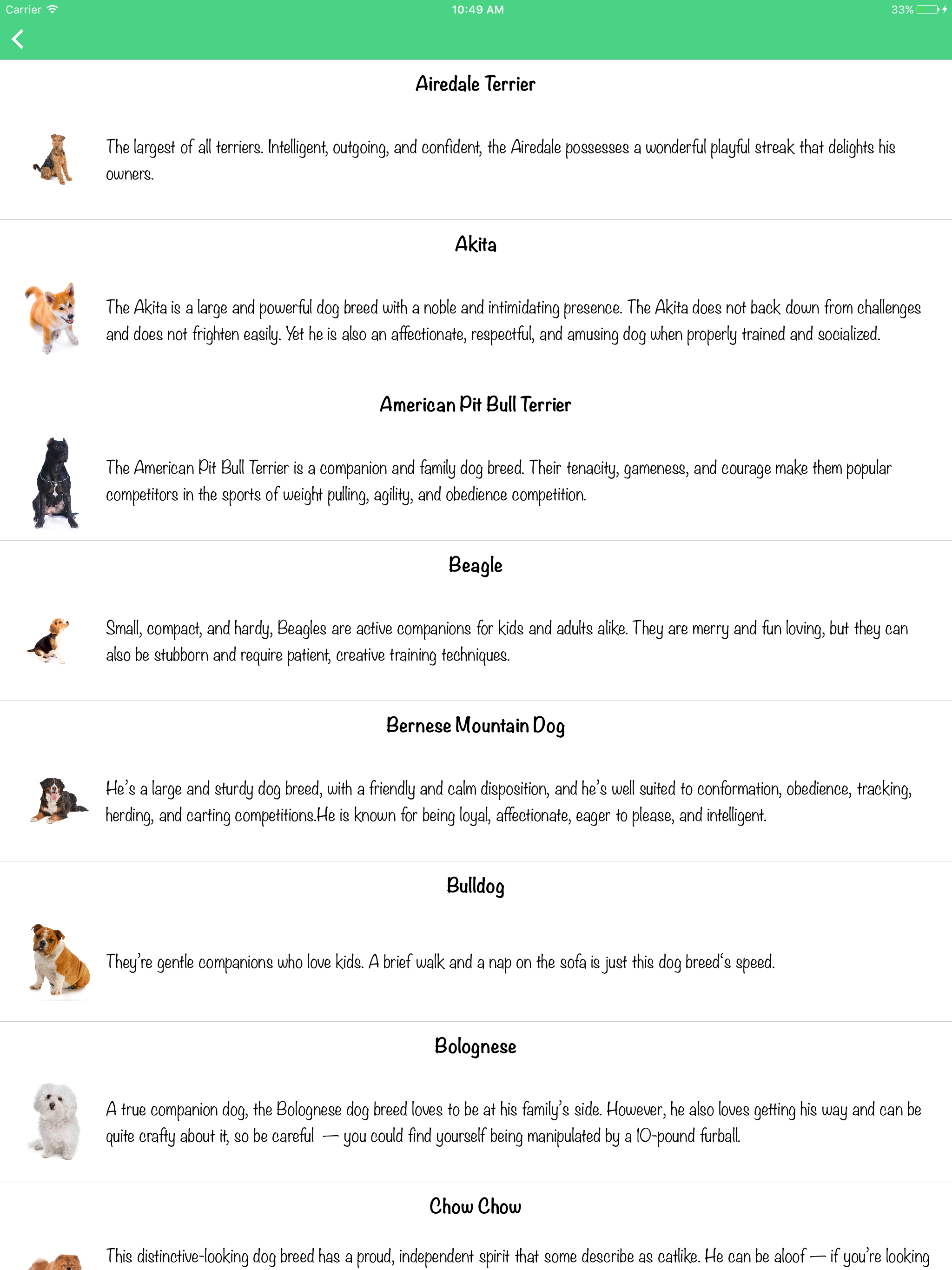 Dog Test: Choose your dog breed