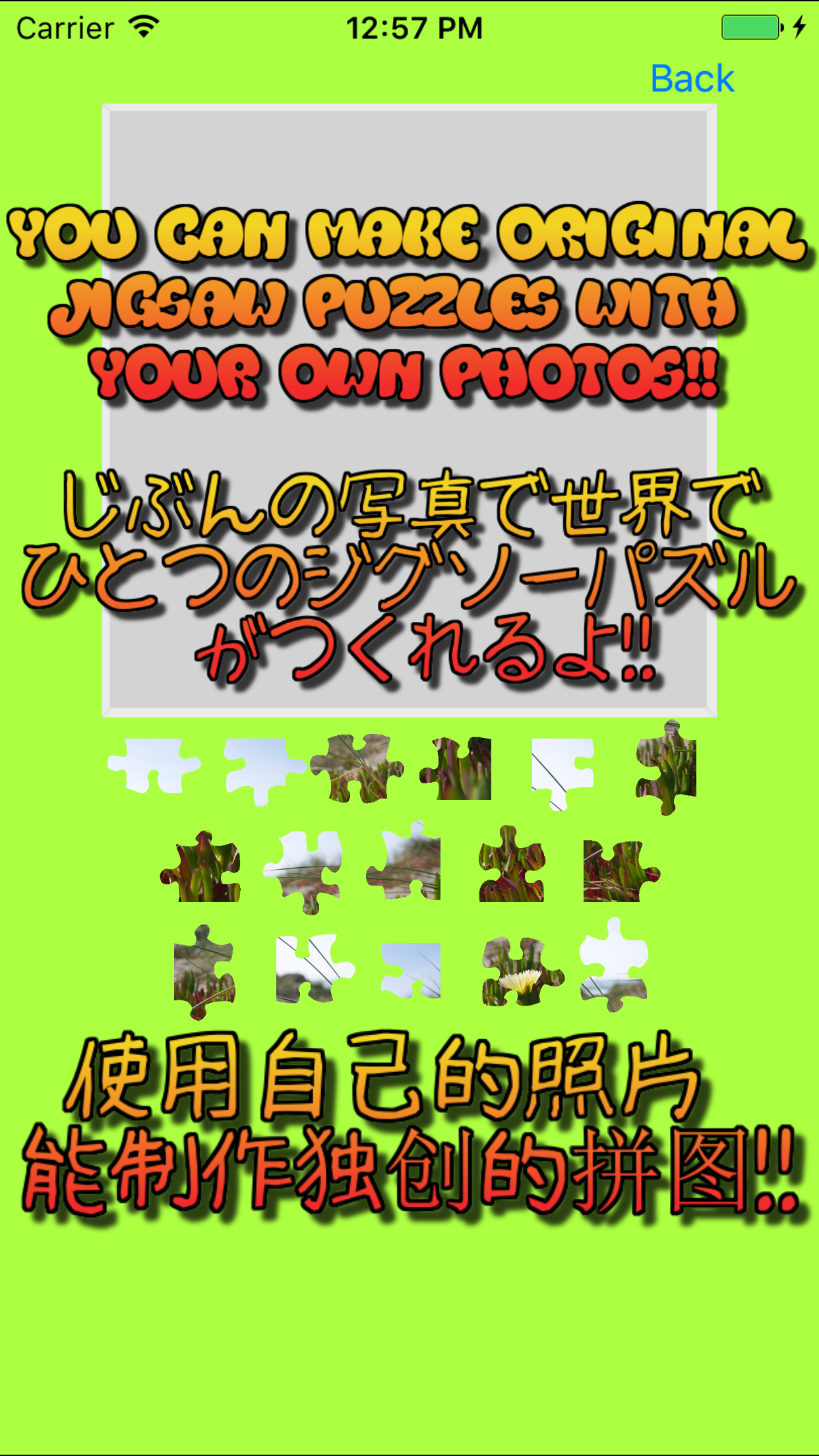 Jigsaw Puzzles for Clownfish and Friends screenshot 5