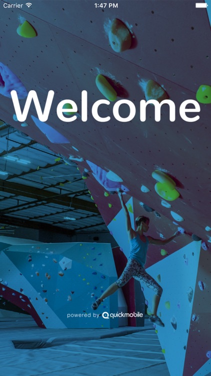 Climbing Wall Summit 2017