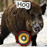 Real Hog Hunting Calls & Sounds App Problems