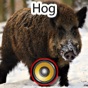 Real Hog Hunting Calls & Sounds app download