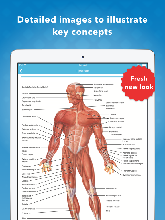 Screenshot #4 pour Nurse Skills: Medicine Management