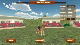 Game screenshot 3D Virtual Dog Racing and Stunts 2017 Tournament apk