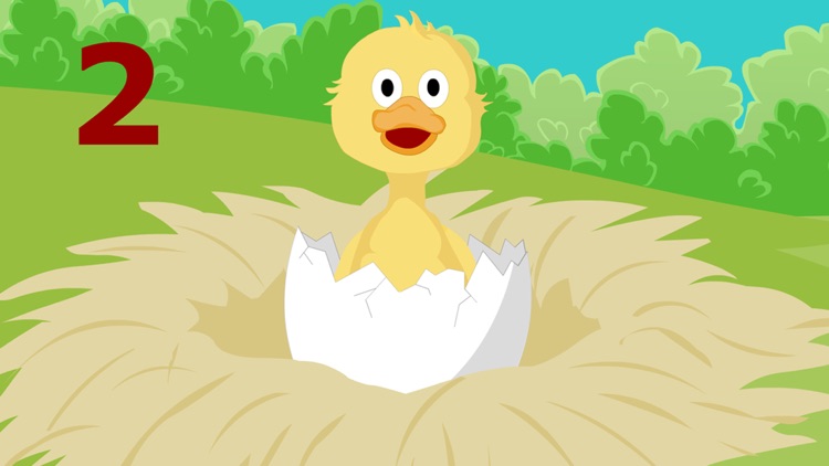 Numbers for Ducklings
