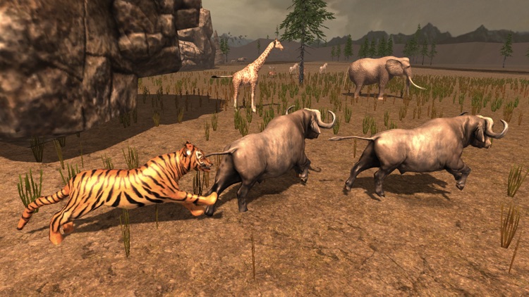 Tiger Simulator 2017 screenshot-3