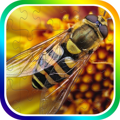 Bug And Insect Jigsaw Puzzle Game For Kids Toddler by Watchara Boonnoon